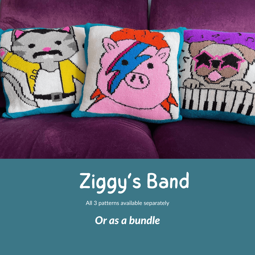 Ziggys Band, Piggy Stardust, Elton Bone and Freddie Purrcury Cushions - HomeJane Burns Designs
