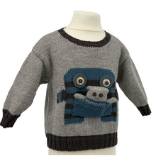 Load image into Gallery viewer, Monster Pocket Pal Sweater and Toy
