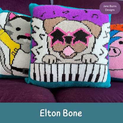 Ziggys Band, Piggy Stardust, Elton Bone and Freddie Purrcury Cushions