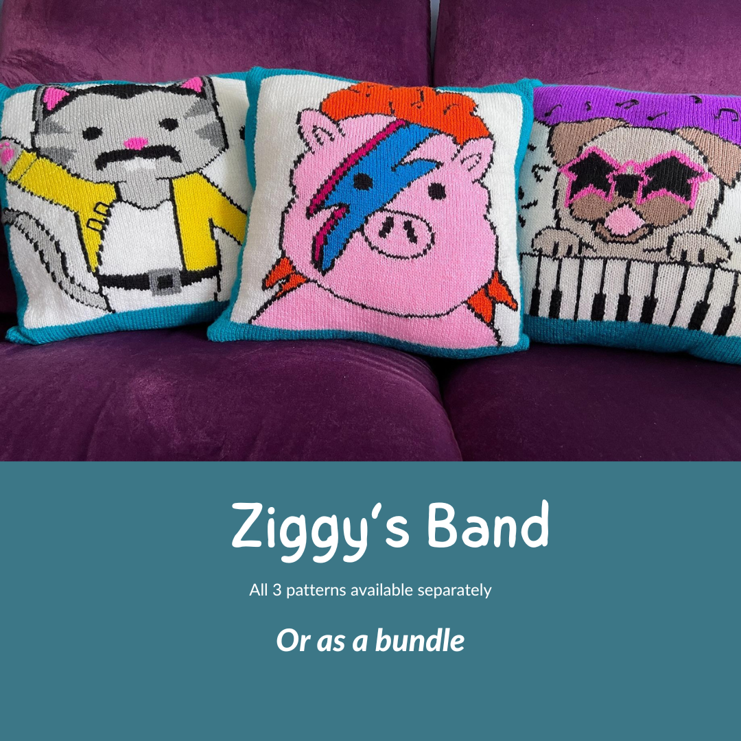 Ziggys Band, Piggy Stardust, Elton Bone and Freddie Purrcury Cushions