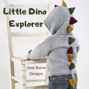 Little Dino Explorer Hoodie