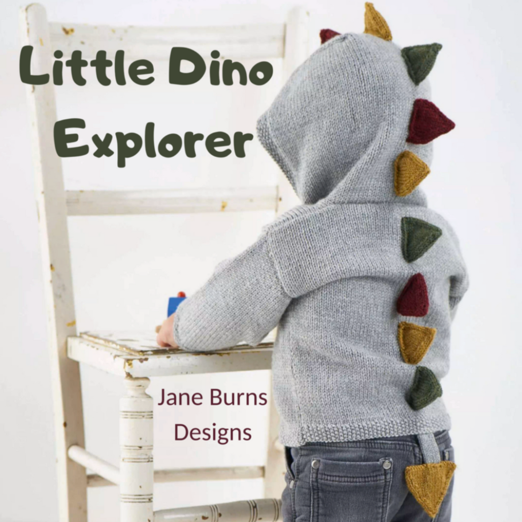 Dino hoodie hotsell