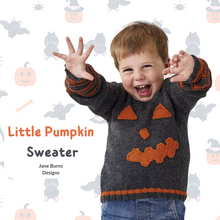 Load image into Gallery viewer, Little Pumpkin Sweater
