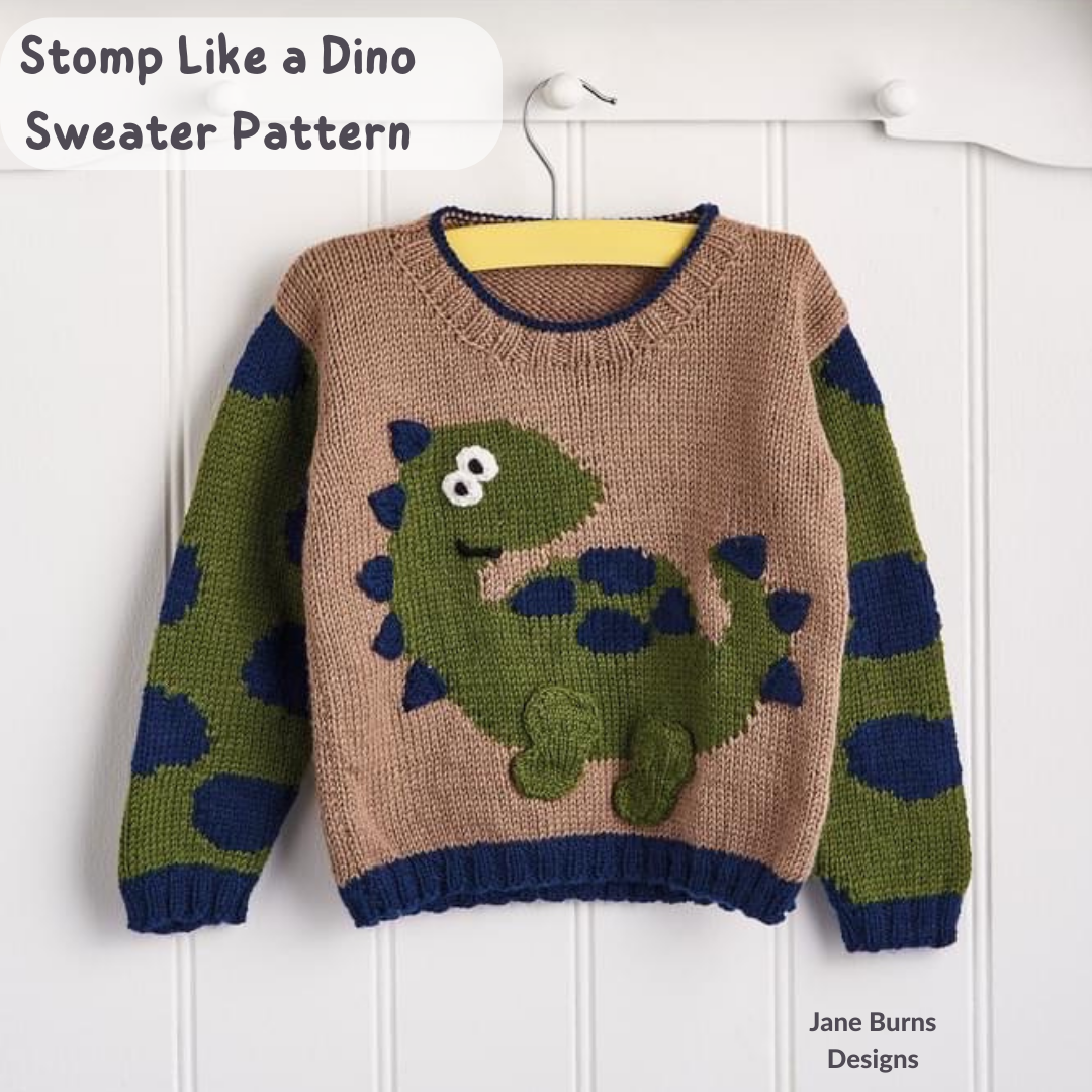 Boys discount dinosaur sweater
